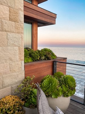 Little Beach House Malibu by null