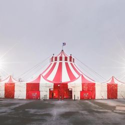Flip Circus