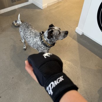 The Pack - Interval Training Gyms Near Me - New York, New York The Pack - Interval Training Gyms Near Me - New York, New York