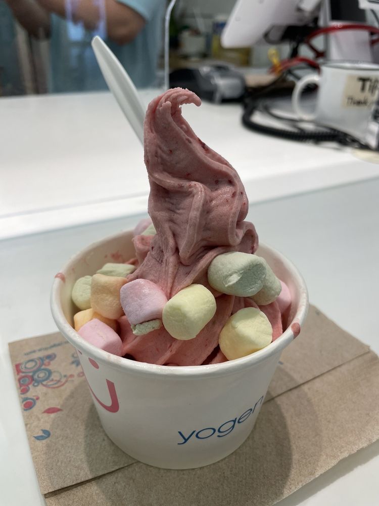 YOGEN FRUZ Updated April 2024 14 Photos & 21 Reviews 4700