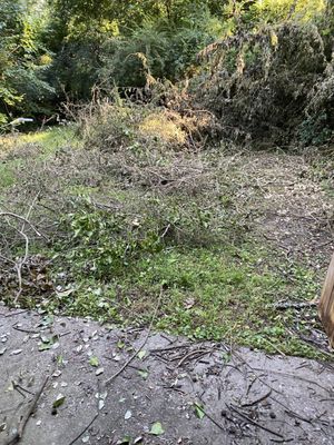 Rapid Removal Plus Logo