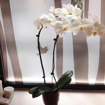 88 Spa - Massage Near Me - New York, New York 88 Spa - Massage Near Me - New York, New York