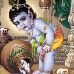 Shri Krishna Vrundavana Temple - Hindu God - Shri Krishna