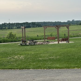 Kamins Farm Sanctuary - Beautiful swing area - Animal Shelters Near Me