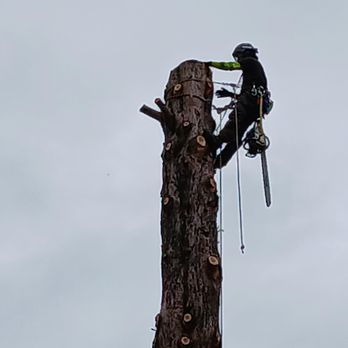 Heartwood Arbor Care - Tree Services Near Me Heartwood Arbor Care - Tree Services Near Me