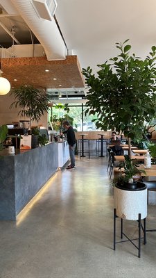 NOMAD Coffee & Bakery by null