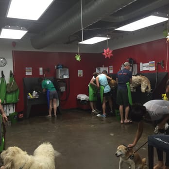Dirty Dog - Saturday morning at Dirty Dog.  Paying the price for fun at the lake and green belt! - Pet Groomers Near Me - Austin, Texas