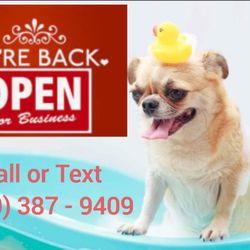 Urban Pet Grooming - We're Open at our New Location