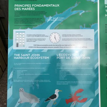 The Saint John Skywalk and Reversing Falls - How it works (part 1) - Parks Near Me - Saint John, New Brunswick The Saint John Skywalk and Reversing Falls - How it works (part 1) - Parks Near Me - Saint John, New Brunswick