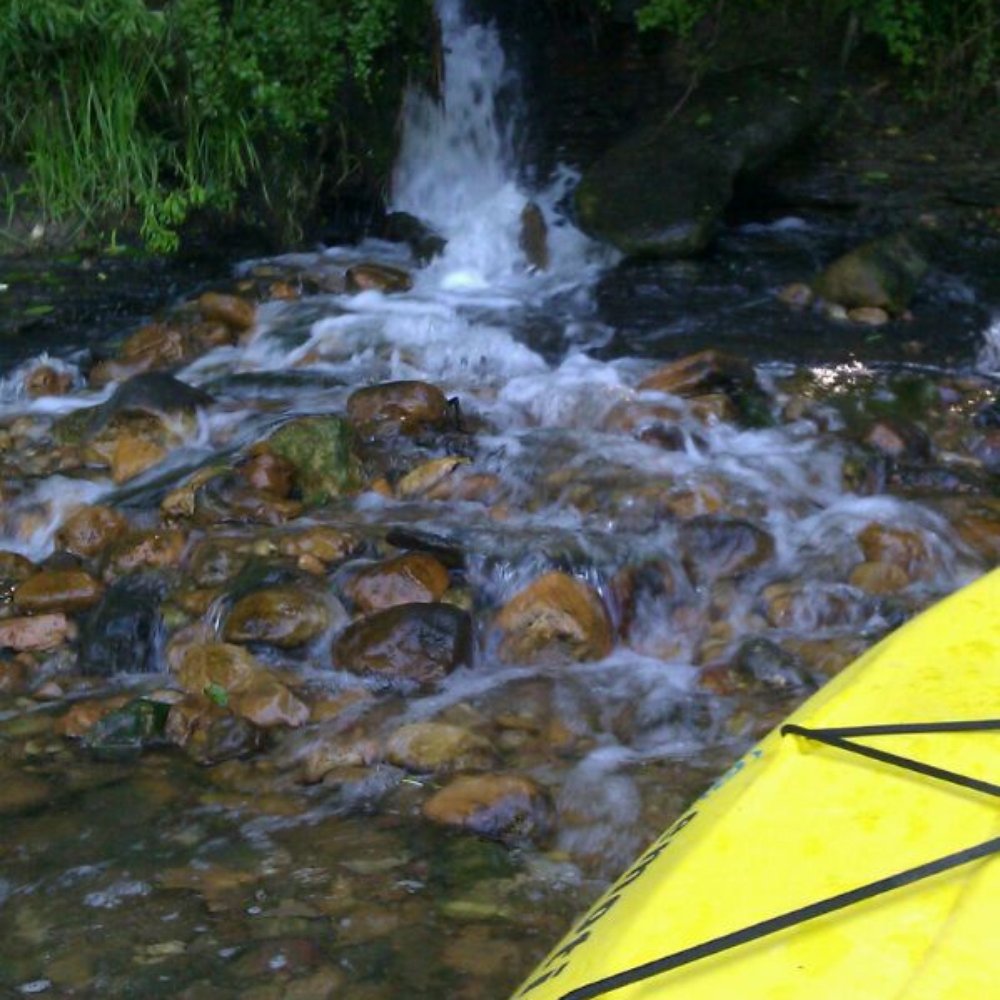 Bastrop River Company - Rafting/Kayaking Near Me - Bastrop, Texas