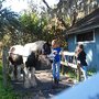 Photo of Carousel Academy