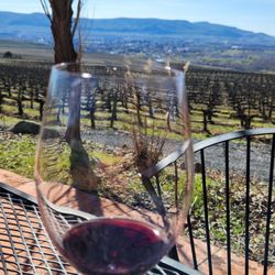 Avennia Estate Tasting Room - View from patio