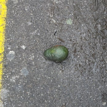 ALDI - Lookin like a fool witcha avocado on the ground - Grocery Near Me - Amherst, New York