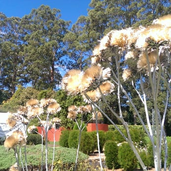 Mount Tomah Botanic Garden, Blue Mountains - The Blue Mountains Botanic Garden, Mount Tomah - Bookstores Near Me - Bilpin, NSW Mount Tomah Botanic Garden, Blue Mountains - The Blue Mountains Botanic Garden, Mount Tomah - Bookstores Near Me - Bilpin, NSW