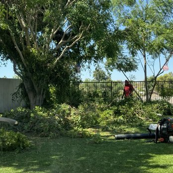 A's Tree Service - Tree Services Near Me - Placentia, California A's Tree Service - Tree Services Near Me - Placentia, California