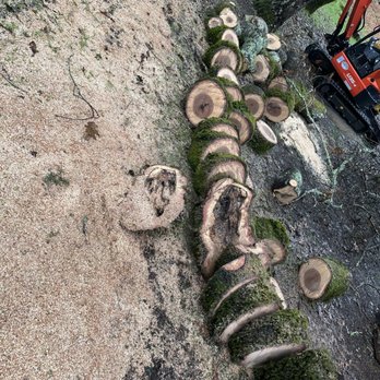 Vida Tree Services - Tree work - Tree Services Near Me Vida Tree Services - Tree work - Tree Services Near Me