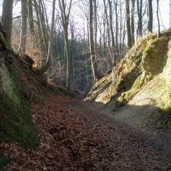 Berg Löwenburg