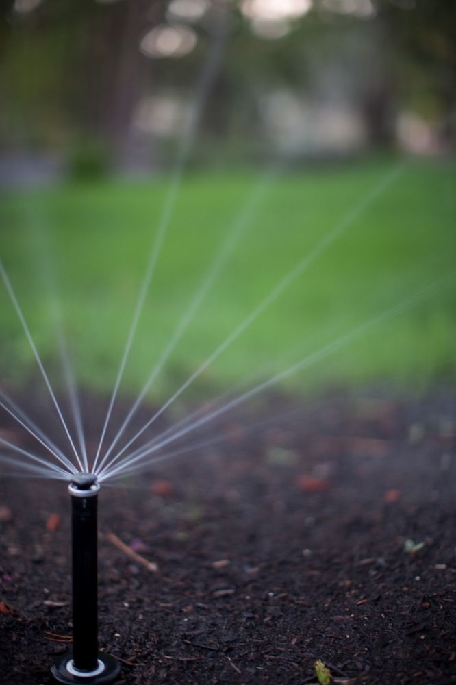 Slide of Blooming Desert Design + Build