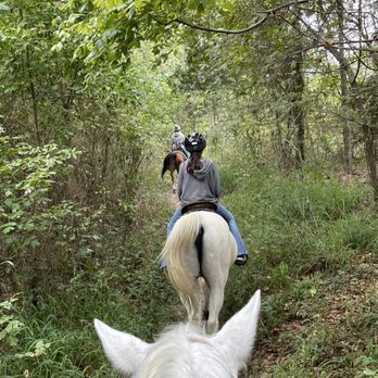 Cypress Trails Ranch - Horseback riding - Horseback Riding Near Me - Humble, Texas Cypress Trails Ranch - Horseback riding - Horseback Riding Near Me - Humble, Texas
