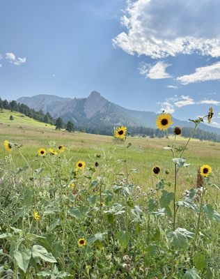 Chautauqua Park by null