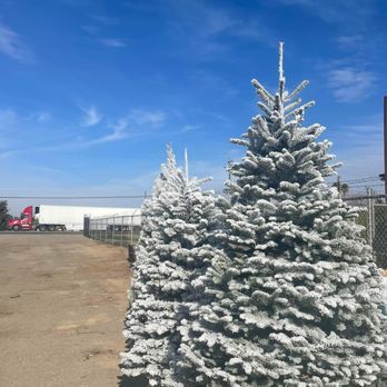 Bobs Christmas Trees - Christmas Trees Near Me - Dinuba, California Bobs Christmas Trees - Christmas Trees Near Me - Dinuba, California