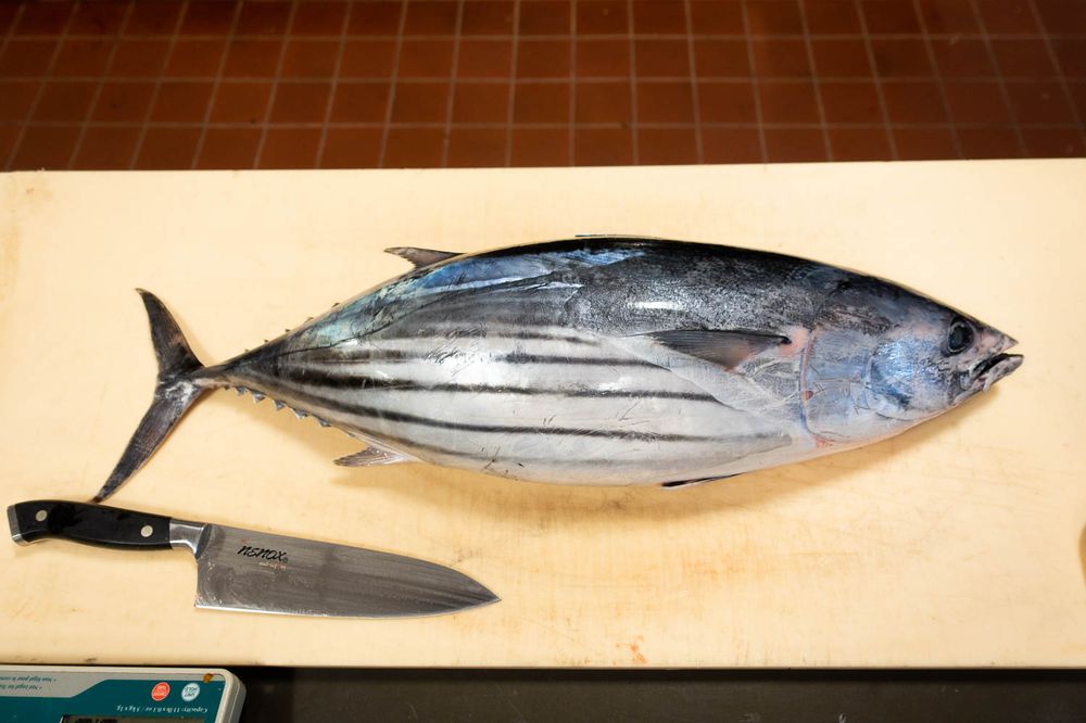 Lionfish Modern Coastal Cuisine - Delray Beach