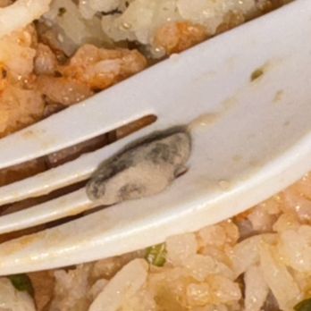 Oahu Mexican Grill - Rocks in my beans and rice. - Tex-Mex Near Me - Honolulu, Hawaii