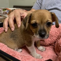 Our Peanut! Our Peanut!