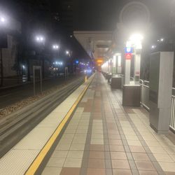 1st Street Blue Line Station - Station