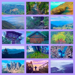 Montage of images from Mt. Tamalpais East Peak Montage of images from Mt. Tamalpais East Peak