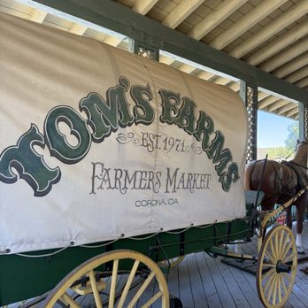 Tom’s Farms - Attraction Farms Near Me - Corona, California Tom’s Farms - Attraction Farms Near Me - Corona, California