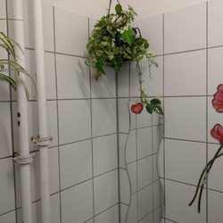 Galicia - Toilettenblumen