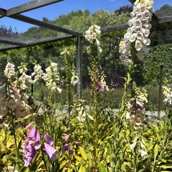 Filoli - Botanical Gardens Near Me - Woodside, California