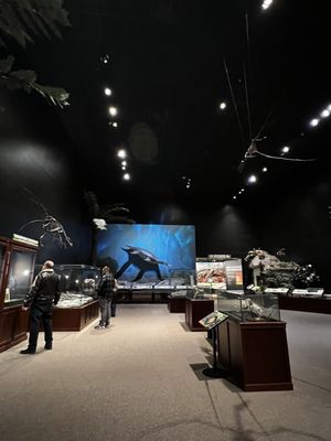 Museum of the Rockies by null