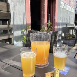 The Cooler - #9 Pitcher of Black Plague Hazy Scandal