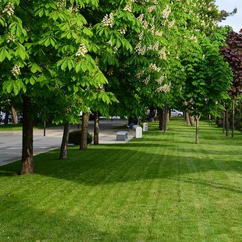 Manthe Lawn Care - Commercial Lawn Care - Snow Removal Near Me - De Forest, Wisconsin Manthe Lawn Care - Commercial Lawn Care - Snow Removal Near Me - De Forest, Wisconsin