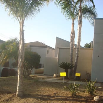 Tree & Palm Trimming & Landscape Maintenance - After(Front Yard): Full Clean up - Landscaping Near Me Tree & Palm Trimming & Landscape Maintenance - After(Front Yard): Full Clean up - Landscaping Near Me