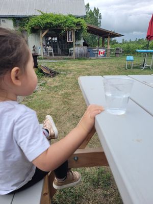 Black Prince Winery & Canadian Vinegar Cellars featuring Barrel House Wood-Fired Pizza + County Disc Golf by null