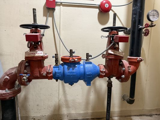 Lake County Backflow