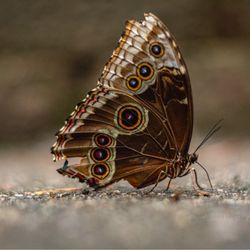 user provided Zoo Boise photo