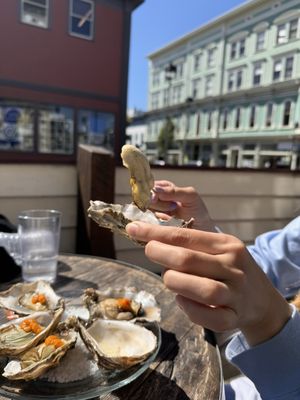 Humboldt Bay Provisions by null