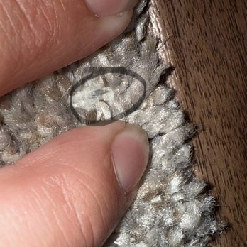 Homecoming at The Preserve - Nail sticking up- not the only nail. - Apartments Near Me - Chino, California Homecoming at The Preserve - Nail sticking up- not the only nail. - Apartments Near Me - Chino, California