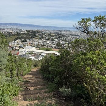 Mount Davidson Park - Parks Near Me - San Francisco, California