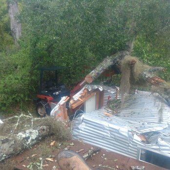 Mr. I.M. Log'n - Removing tree from shed - Tree Services Near Me - Gainesville, Florida