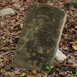 Richard P Gravely Jr Nature Preserve - Old tombstone at the cemetery