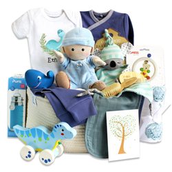 BabyJoy - Zeronto Baby Boy Gift Basket - Happy Little Dino & Friends. Inspired by Zero Waste + Zero Plastic.