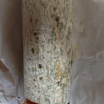 Marina Supermarket - Green mold all over the salami sausage. And no it's not like blue cheese when you can eat it - Grocery Near Me - San Francisco, California Marina Supermarket - Green mold all over the salami sausage. And no it's not like blue cheese when you can eat it - Grocery Near Me - San Francisco, California