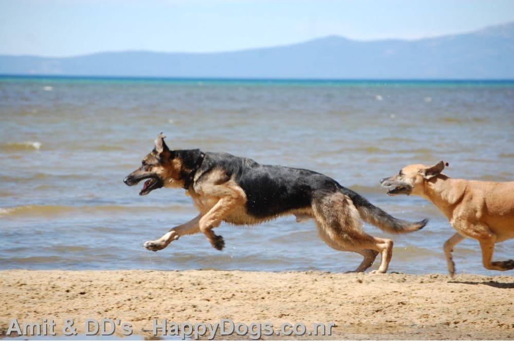 AMIT & DD’S FRIENDLY HOME AWAY FROM HOME Updated September 2024 25