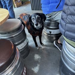 Altitude Brewing