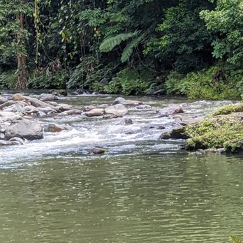 De Tour Con Ali - Natural river for swimming in the Rainforest - Tours Near Me - Santurce, Puerto Rico De Tour Con Ali - Natural river for swimming in the Rainforest - Tours Near Me - Santurce, Puerto Rico